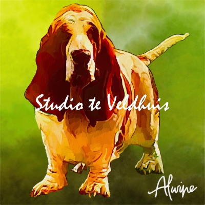 Gooff | Studio te Veldhuis