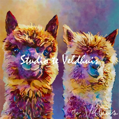 Happy Alpaca | Studio te Veldhuis
