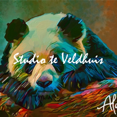 Panda | Studio te Veldhuis