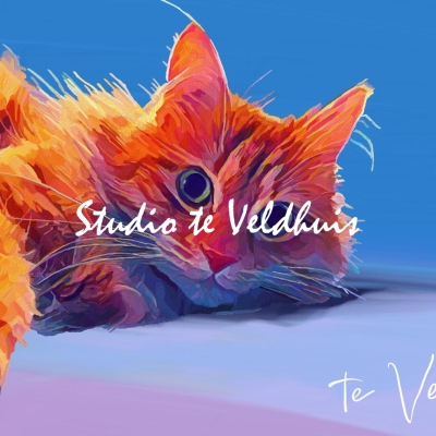 Luie kat | Studio te Veldhuis