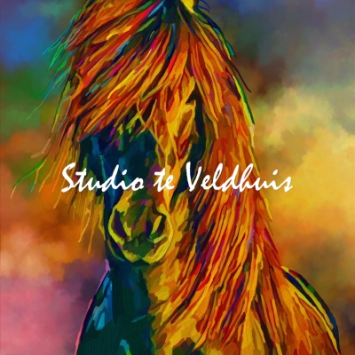 Icelandic | Studio te Veldhuis