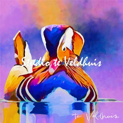Mandarijn | Studio te Veldhuis