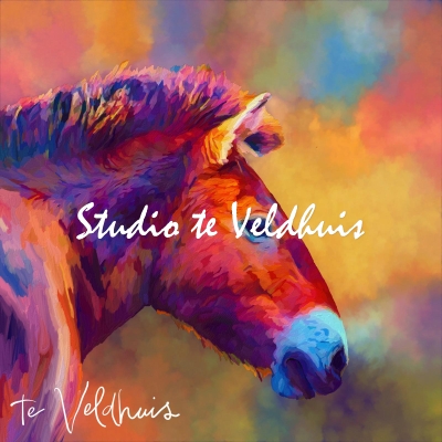 Przewalski | Studio te Veldhuis