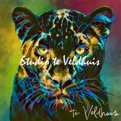 Black Panther | Studio te Veldhuis